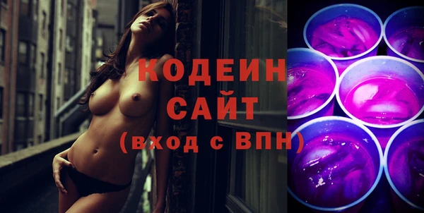 индика Кодинск