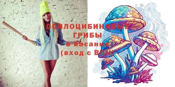 индика Кодинск