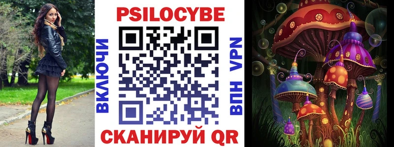 Купить где  Нестеров  Псилоцибиновые грибы MAGIC MUSHROOMS 